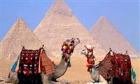Excursão de um dia ao Cairo de Luxor por voo