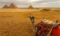 Excursão de um dia às pirâmides com a viagem de Felucca