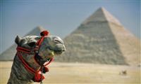 Excursão de um dia às pirâmides e ao Museu Egípcio