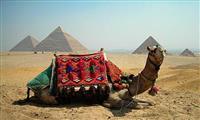 Viagem ao Cairo,as Pirâmides e o Museu Egípcio 