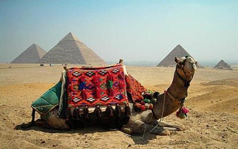 Viagem ao Cairo,as Pirâmides e o Museu Egípcio 